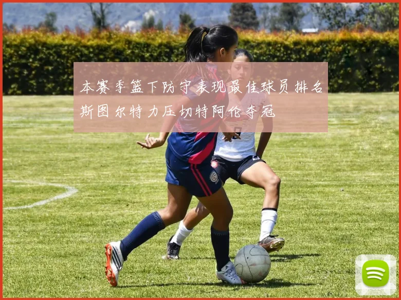 本赛季篮下防守表现最佳球员排名斯图尔特力压切特阿伦夺冠